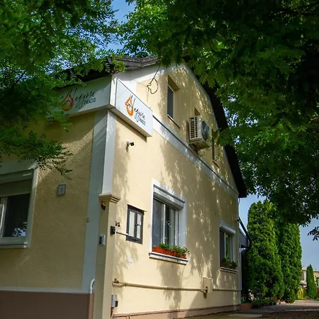 Hagyma Panzio *