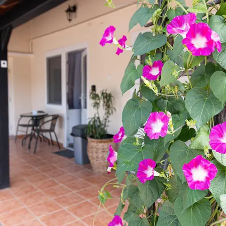 Bed & Breakfast Hagyma Panzio