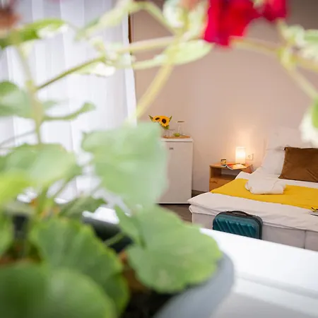 Bed & Breakfast Hagyma Panzio Makó