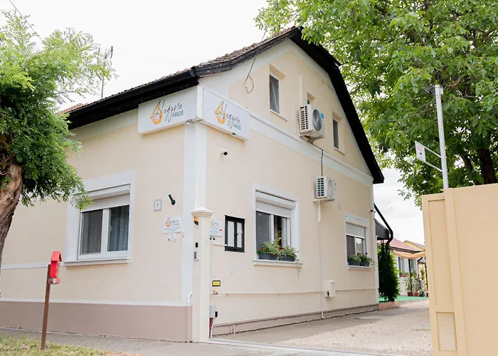 Hagyma Panzio