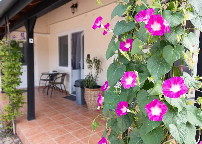 B&B Hagyma Panzio