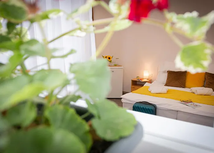B&B Hagyma Panzio Makó